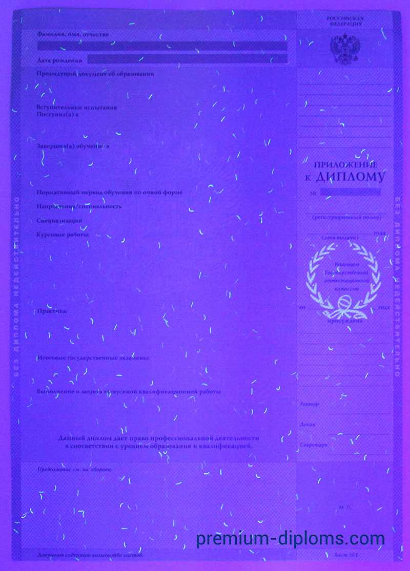 Диплом бакалавра 1997-2003 год фото Диплом бакалавра 1997-2003 год фото